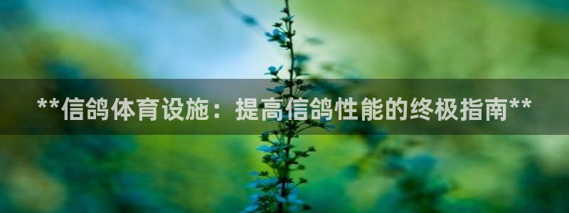 意昂3娱乐40996：**信鸽体育设施：提高信鸽性能