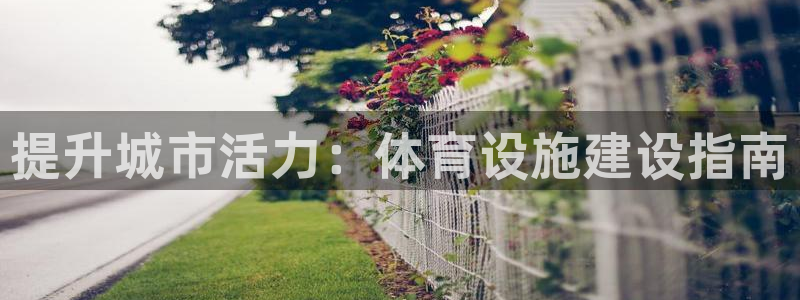 意昂平台体育：提升城市活力：体育设施建设指南