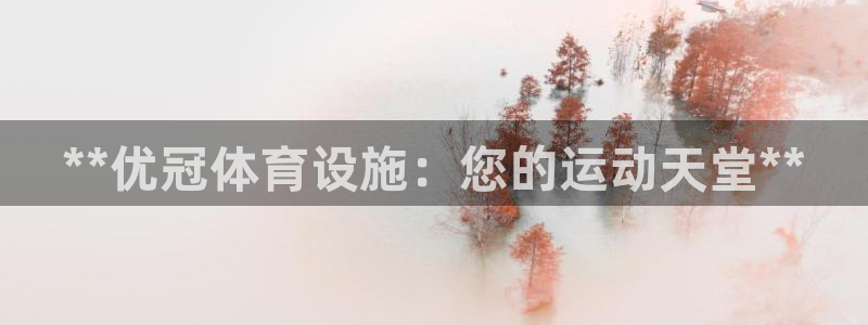 意昂平台体育：**优冠体育设施：您的运动天堂**