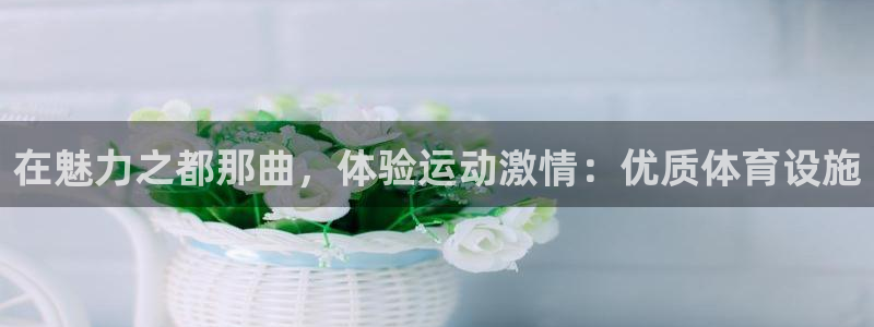 海南意昂体育3：在魅力之都那曲，体验运动激情：优质体