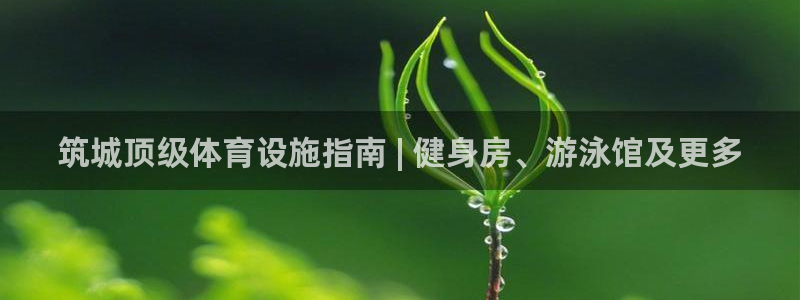 意昂3集团logo：筑城顶级体育设施指南 | 健身房