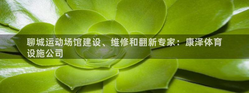 意昂体育3是干嘛的公司：聊城运动场馆建设、维修和翻新