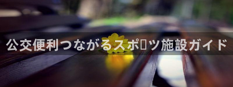 意昂体育3平台是正规平台吗安全吗：公交便利つながるス