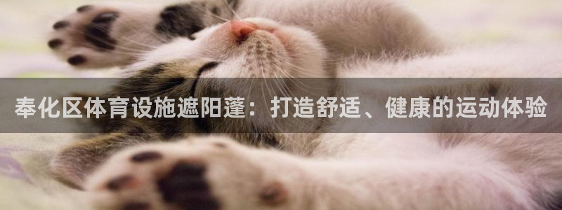 意昂3神州：奉化区体育设施遮阳蓬：打造舒适、健康的运