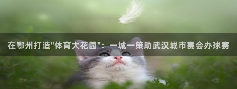 意昂体育3招商电话号码是多少啊