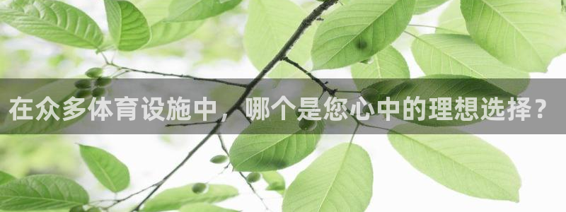 意昂3集团E.ON