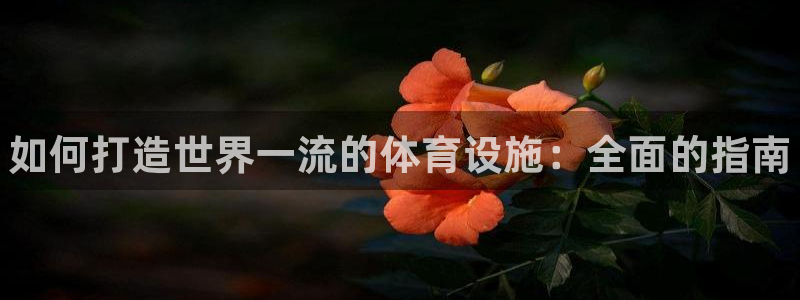 意昂体育3招商电话是多少啊：如何打造世界一流的体育设施：全面