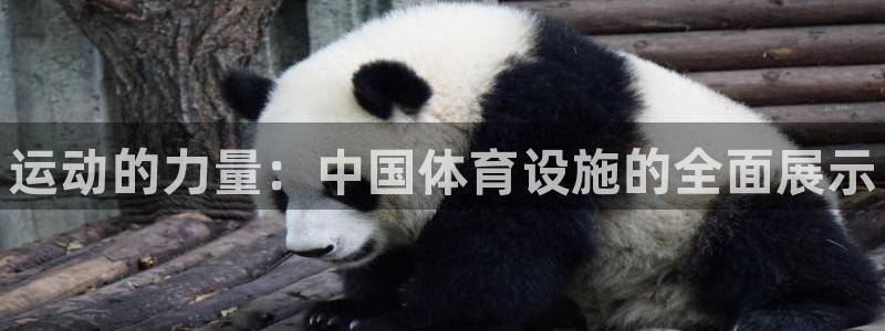 意昂体育3平台是正规平台吗安全吗