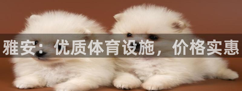 意昂3集团官网首页：雅安：优质体育设施，价格实惠