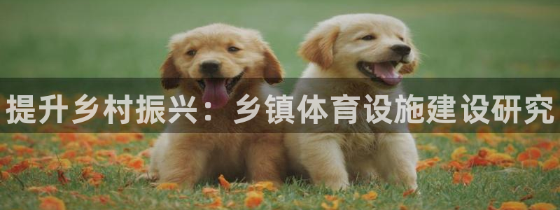 意昂体育3招商电话号码是多少号：提升乡村振兴：乡镇体育设施建