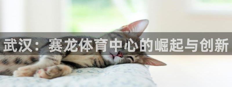 意昂体育3平台注册要钱吗安全吗：武汉：赛龙体育中心的崛起与创