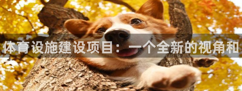 意昂3娱乐首页网站大全：体育设施建设项目：一个全新的