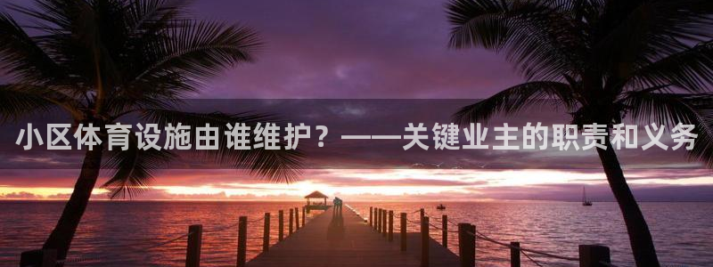 意昂3娱乐下载：小区体育设施由谁维护？——关键业主的