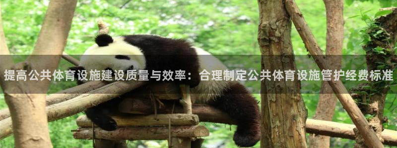 意昂3集团logo：提高公共体育设施建设质量与效率：合理制定
