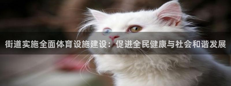 意昂3娱乐40996：街道实施全面体育设施建设：促进全民健康 