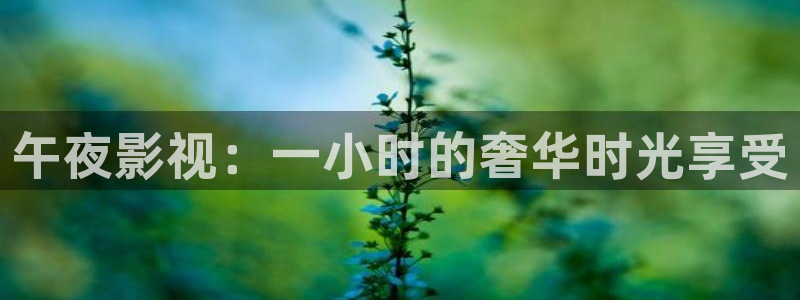天狼2019电影免费完整版