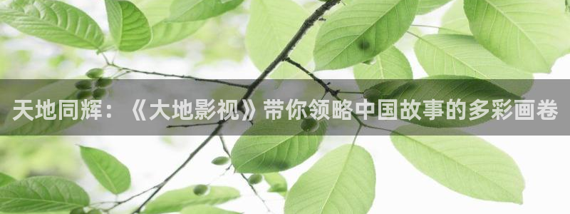 天狼电影2025免费观看完整版
