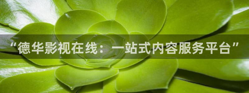 天狼影院2025最新