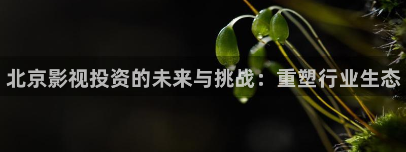 最新电影天狼