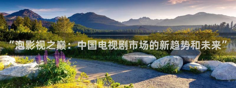 天狼影院2020在线观看