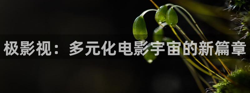 天狼电视电影