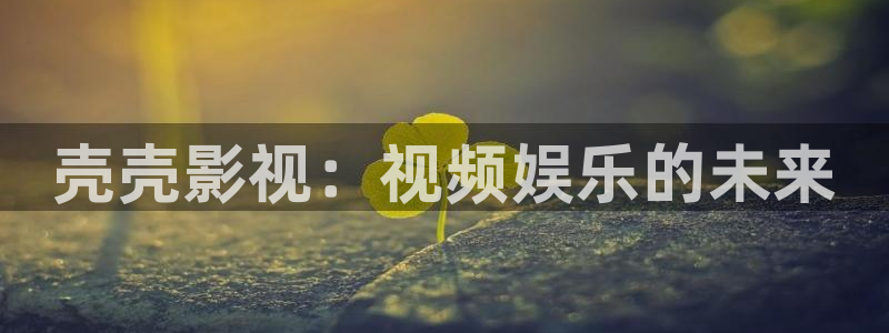 韩国电影 天狼